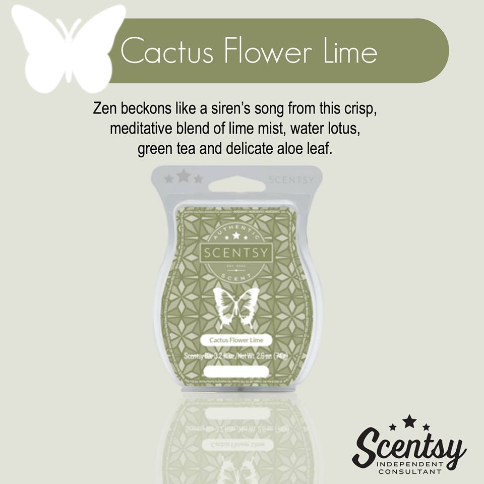 cactus flower lime Scentsy Spring Summer catalog Melissa Dell