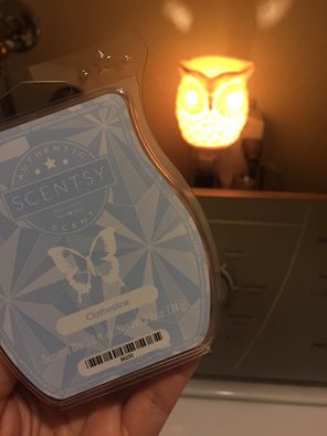 whoot scentsy nightlight Melissa Dell Independent Scentsy Consultant