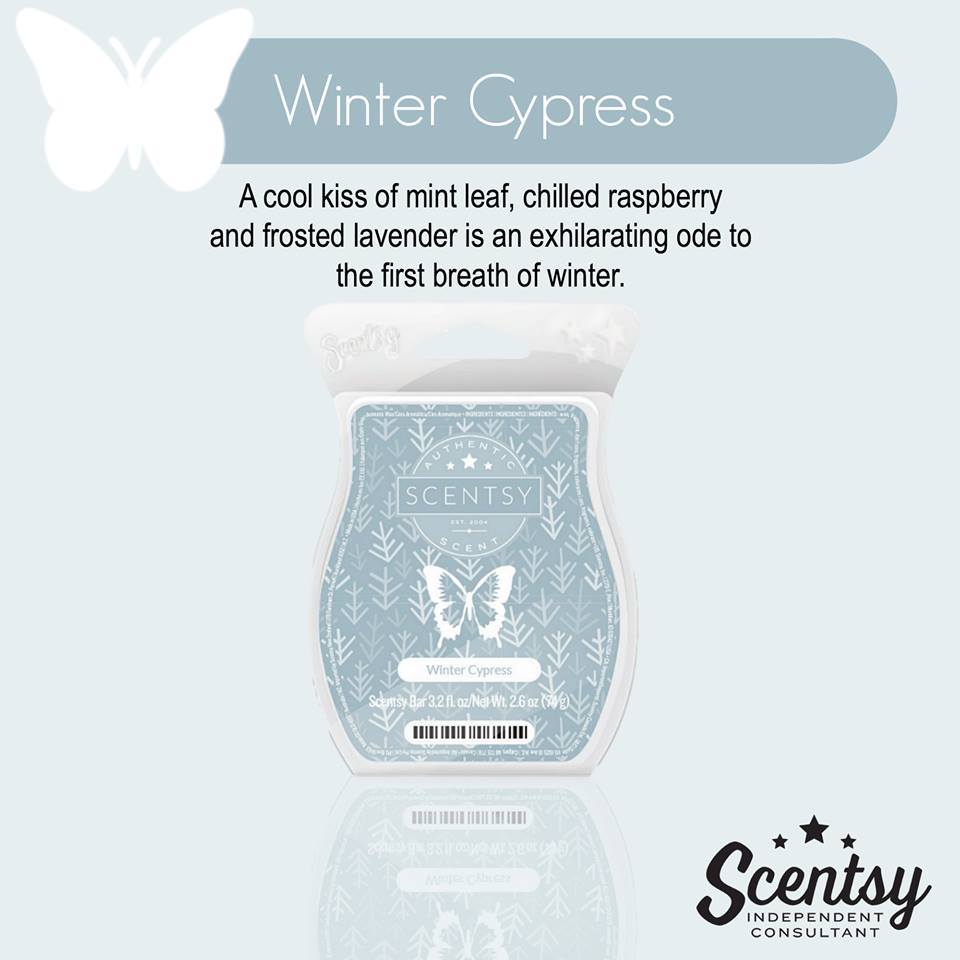 November 2015 Scentsy Scent of the month Winter Cypress