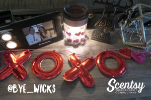 make it your own - diy scentsy warmer - make a scene Melissa Dell Valencia Scentsy Consultant